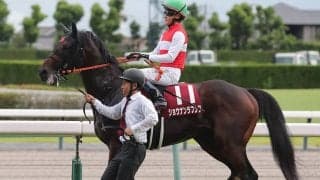 【競馬予想】菊花賞で激走する馬には法則がある--過去10年の傾向から導いた穴馬２頭