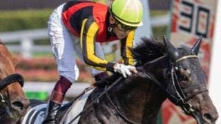 半兄に日本ダービー馬＆皐月賞馬 フィヤールが坂井瑠星騎手でデビュー勝ち狙う