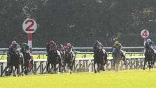 【菊花賞予想】上位人気3頭での馬連は成功率ゼロ？ 過去データから探るGI菊花賞