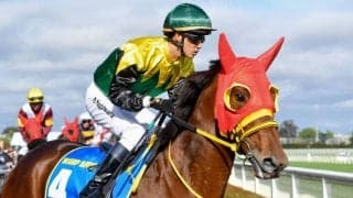 【コーフィールドC】菅原明「不向きな馬場になった」ワープスピードは13着