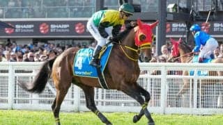 【コーフィールドC】高木師「フレミントンの方が向く」ワープスピードは13着