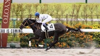 【京都1R】武豊「芝でも問題ない」マジカルシャインが初勝利