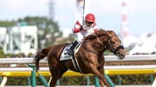 菊花賞は一貫した流れで地力勝負に