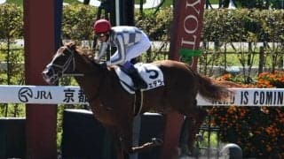 【京都3R新馬戦結果】ナダル産駒フェデラーが大差勝ち
