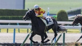 【新馬/京都4R】エリカエクスプレスが人気に応える