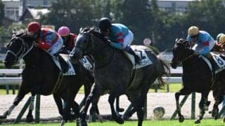 【京都5R新馬戦結果】キタサンブラック産駒ヤマニンブークリエがゴール前で差し切りV