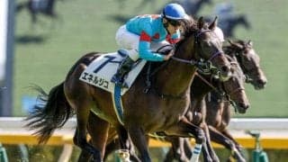 【東京5R新馬戦結果】ドゥラメンテ産駒エネルジコが初陣飾る