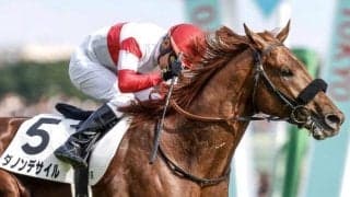 【菊花賞・馬体重】ダービー馬ダノンデサイルは522kg(+18)、アーバンシックは510kg(±0)