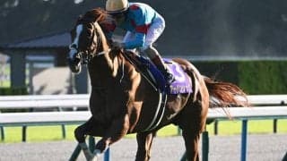【菊花賞結果】最後の1冠はアーバンシック！ トライアルからの連勝でGI初V