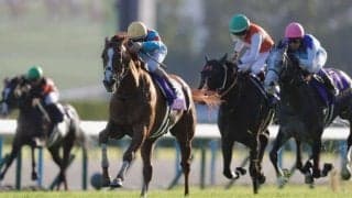 【菊花賞】ルメールの神騎乗！アーバンシックが最後の一冠を制する…ダノンデサイルは敗れる