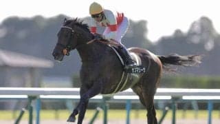 【清滝特別】武豊サブマリーナの大外一気が炸裂