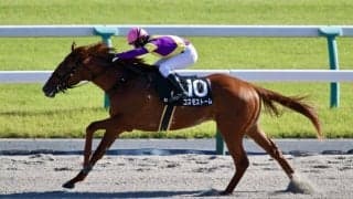 【なでしこ賞】コスモストームが抜け出す…デクラレーションオブウォー産駒