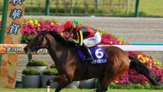 三冠牝馬リバティアイランドなどが登場する天皇賞(秋)など3重賞/今週の競馬界の見どころ