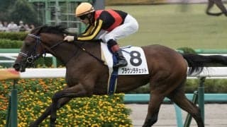 【アルテミスS登録馬】ブラウンラチェットなど12頭