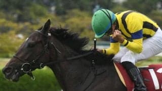 重賞2勝のマスクトディーヴァが19日に登録抹消 社台ファームで繁殖入り