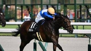 【スワンS見どころ】飛ぶ鳥を落とす勢いのクランフォードが連勝街道まっしぐら