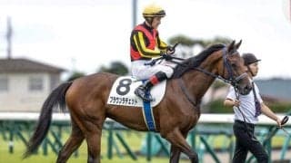【アルテミスS見どころ】フォーエバーヤングの妹ブラウンラチェットの連勝に期待
