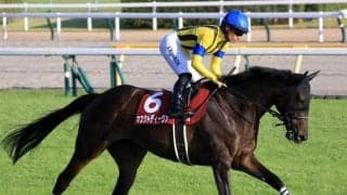 【先週のJRA抹消馬】重賞2勝のマスクトディーヴァ、GIでも好走したルージュエヴァイユなど