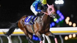 【浦和・埼玉新聞栄冠賞】日本テレビ盃4着のナニハサテオキは2枠2番