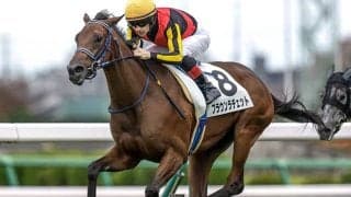 【アルテミスS想定騎手】ブラウンラチェットはC.ルメール騎手、ショウナンザナドゥは池添謙一騎手