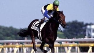 “最強の大王”がこの世を去って5年 「あなたが好きなキングカメハメハ産駒は？」