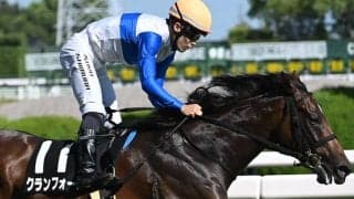 【スワンS想定騎手】クランフォードは西村淳也騎手、スズハロームは鮫島克駿騎手