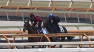 ジョッキーも「かなり良くなった」と太鼓判 松永幹厩舎のマテンロウムーブが今週末初陣/関西馬メイクデビュー情報