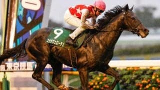 【AI予想・天皇賞(秋)】前走で高い能力を示していることが好走条件!? 人気薄の激走も示唆する人工知能の本命候補とは