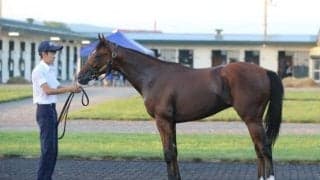 高校生の生産馬が“ダート競馬の祭典”JBC当日にデビューへ