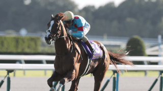 なぜ関東馬はクラシック戦線で優位なのか　背景にC.ルメールが築いた“緊密な関係”【菊花賞＆秋華賞】