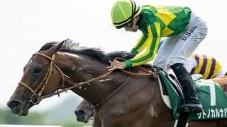 ミックスセール1期生の活躍が凄い！ 既に重賞ウイナーも誕生