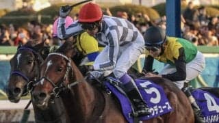 史上7頭目の4年連続JRA平地GI制覇へ ドウデュースが天皇賞(秋)に参戦