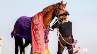 【スワンS展望】マイルCSの前哨戦、好走条件満たすウインカーネリアンに注目