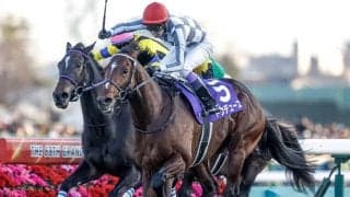 父コントレイルのドウデュース半弟が上場 ミックスセールで高額取引が期待される当歳馬は？