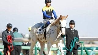 【ミックスセール2024】近親にはソダシやメイケイエール 白毛一族マーブルケーキの2024が5800万円で落札