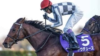 【ミックスセール2024】ドウデュースの半弟に2億6000万円！ 父は無敗の三冠馬コントレイル