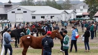 【ミックスセール2024】トップバッターから2億円！ 仏G1馬の仔を小笹芳央氏が落札