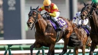 【ミックスセール2024】ウマ娘・藤田晋氏がキタサンブラック産駒を2億9000万円で落札！ 半兄に皐月賞馬ジャスティンミラノ