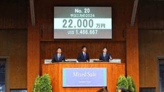 【ミックスセール2024】母サロニカの牝に2億2000万円