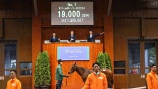 【ミックスセール2024】Kingman産駒に1億9000万円