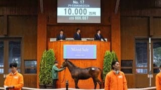 【ミックスセール2024】エピファネイア産駒に1億円…母は亜G1勝ち馬