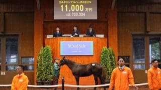 【ミックスセール2024】キタサンブラック産駒に1億1000万円