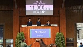 【ミックスセール2024】ダノンチェイサー半妹に1億1000万円…父はキズナ