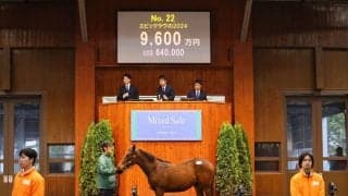 【ミックスセール2024】ダノンザキッドの半妹に9600万円…DMMが落札