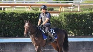 カーボナードなど、先週のゲート試験/栗東トレセンニュース