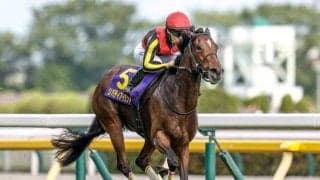 【天皇賞(秋)予想オッズ】リバティアイランドが予想1番人気