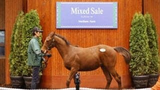 ミックスセール最高額はジャスティンミラノ半弟で2億9000万円 当歳部門の総額は35億5500万円に