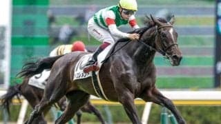 【アルテミスS予想オッズ】マイエレメントが予想1番人気