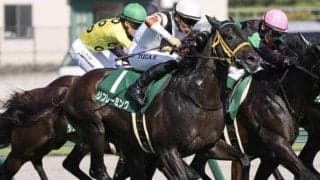 15年ぶりのGI制覇なるか 天皇賞(秋)にキングヘイロー産駒参戦