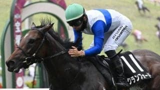 【スワンS予想オッズ】クランフォードが予想1番人気